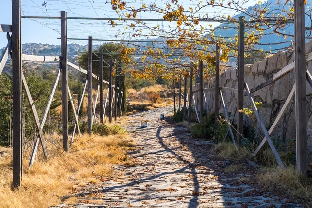 Stone Path Under Wooden Trellis in Rural Landscape