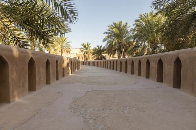 ممر طيني أثري تقليدي في نزوى سلطنة عمان وسط النخيل