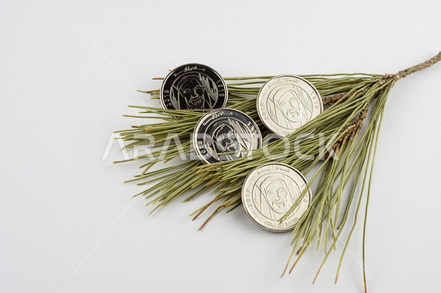 صورة لعملة الدرهم الإماراتي فوق غصن من شجرة الصنوبر، درهم إماراتي من فئة 1 درهم، صورة الشيخ زايد مطبوعة على عملة الدرهم، النمو الإقتصادي، الإستدامة المالية، عملات معدنية، مالية واقتصاد، خلفية بيضاء