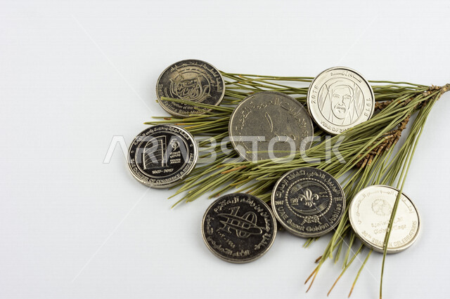 صورة لعملة الدرهم الإماراتي فوق غصن من شجرة الصنوبر، درهم إماراتي من فئة 1 درهم، صورة الشيخ زايد مطبوعة على عملة الدرهم، النمو الإقتصادي، الإستدامة المالية، عملات معدنية، مالية واقتصاد، خلفية بيضاء