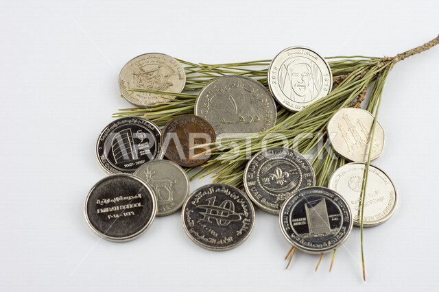 Picture of UAE dirham coin on top of pine tree, UAE dirham denomination of 1 dirham, image of Sheikh Zayed printed on dirham currency, economic growth, financial sustainability, coins, finance and economy, white background