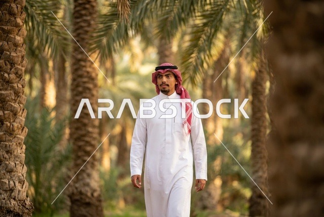 رجل سعودي يرتدي الثوب التقليدي ويمشي في مزرعة نخيل