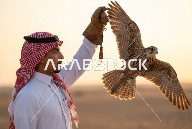 رجل سعودي يدرب صقره في الصحراء عند الغروب
