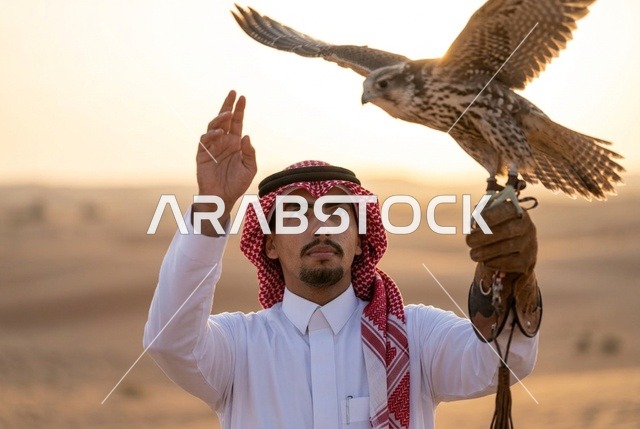 صاحب صقور سعودي يطعم صقره في الصحراء التراثية