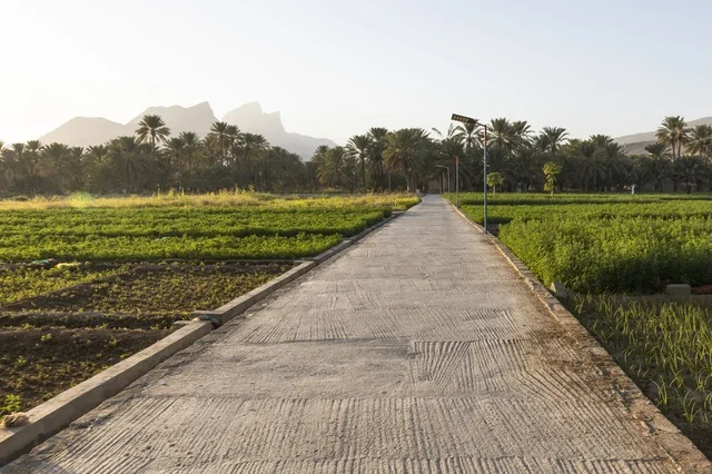 Agricultural Fields with Path in Sultanate of Oman