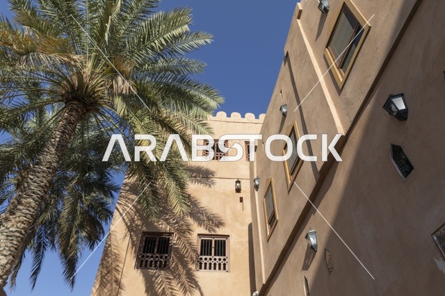 مباني طينية تراثية تقليدية مع شجرة نخيل