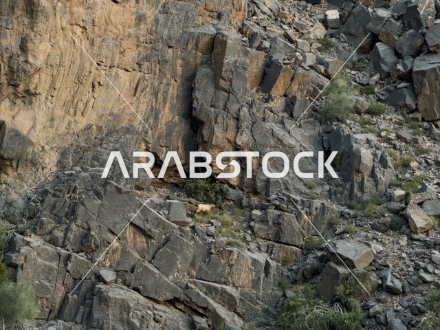 Rugged Limestone Mountain Rock Formations in Oman