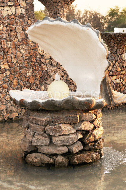 صورة ابداعية لصدفة كبيرة في منتزه الإحساء الوطني بالمملكة العربية السعودية، صدفة كبيرة، منتزه الإحساء الوطني، السياحة في السعودية