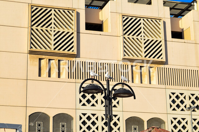 صورة لطيور النورس على عمود الانارة في منطقة بر دبي بإمارة دبي، البيوت الأثرية في الامارات ، معالم الإمارات، الفن الهندسي المعماري في دبي