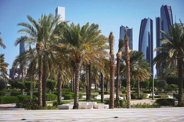 أبراج الاتحاد في أبوظبي مع أشجار النخيل بالحديقة