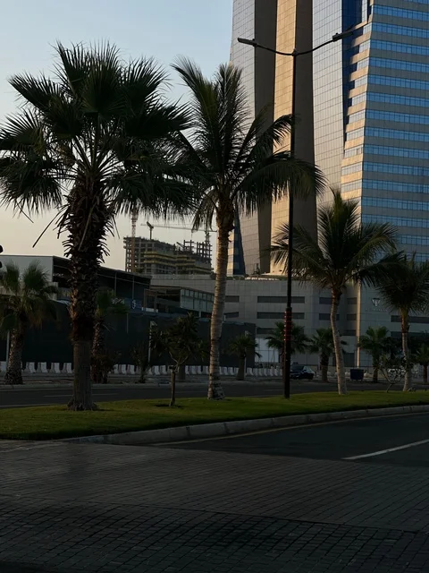 أبراج أبوظبي الحديثة مع أشجار النخيل في الإمارات