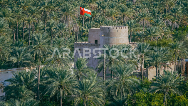 صورة ابداعية لبيت المقحم في بوشر بمسقط بسلطنة عمان، قلعة وسط النخيل، جمال الطبيعة الخلابة، علم سلطنة عمان، معالم مشهورة، السياحة في عمان