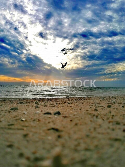 An aesthetic image of the North Beach Corniche Yanbu Al Bahr in Saudi Arabia at sunset, tourism in Saudi Arabia, seashore, coastal recreational places in Saudi Arabia, marine nature in Saudi Arabia