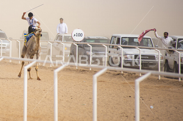 متسابقين يركبون حيوانات الجمل في سباق الهجن، الاتحاد السعودي للهجن، تحديات سباق الهجن، رياضة سباق الهجن في المملكة العربية السعودية، انطلاق مهرجان ولي العهد للهجن في الطائف، ميدان محافظة الطائف لسباقات الهجن