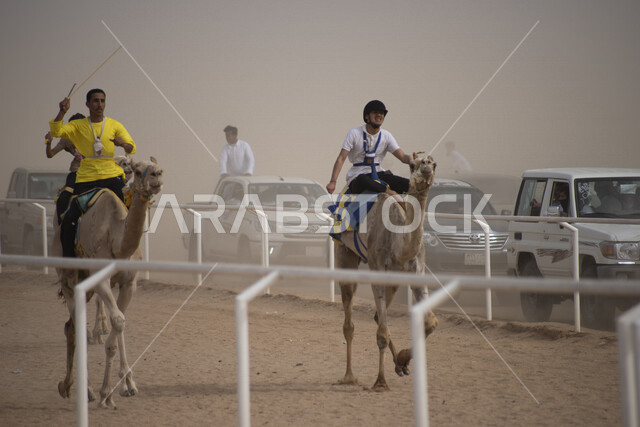 متسابقين يركبون حيوانات الجمل في سباق الهجن، الاتحاد السعودي للهجن، تحديات سباق الهجن، رياضة سباق الهجن في المملكة العربية السعودية، انطلاق مهرجان ولي العهد للهجن في الطائف، ميدان محافظة الطائف لسباقات الهجن