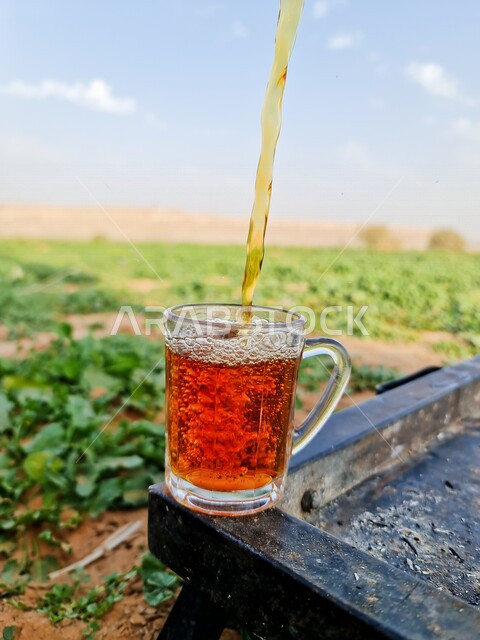 صورة مقربة لكوب من الشاي، مشروبات ساخنة، الاشجار والنباتات، مناظر طبيعية، كوب من الشاي في الهواء الطلق