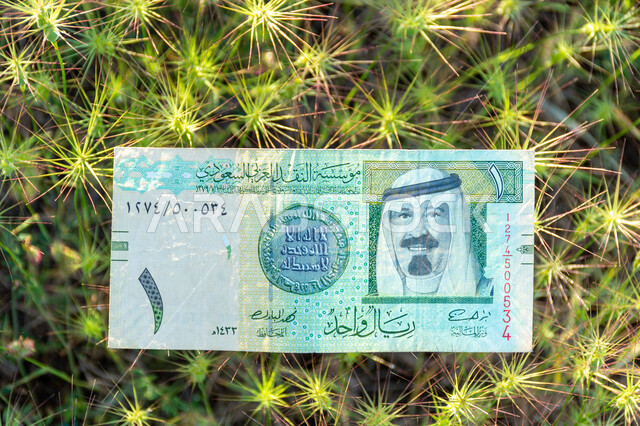 صورة لورقة نقدية من فئة واحد ريال سعودي من الإصدار الخامس عليها صورة خادم الحرمين الشريفين الملك عبدالله بن عبد العزيز آل سعود، التمويل والاستثمار، الطبيعة، العملة الرسمية للمملكة العربية السعودية.