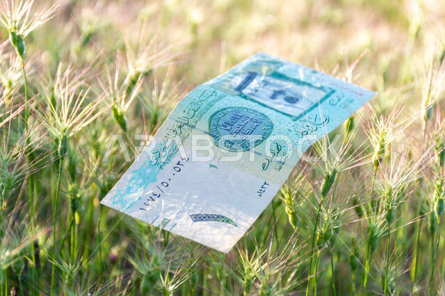 صورة لورقة نقدية من فئة واحد ريال سعودي من الإصدار الخامس عليها صورة خادم الحرمين الشريفين الملك عبدالله بن عبد العزيز آل سعود، التمويل والاستثمار، الطبيعة، العملة الرسمية للمملكة العربية السعودية.