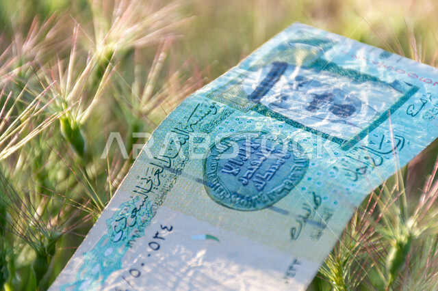 صورة لورقة نقدية من فئة واحد ريال سعودي من الإصدار الخامس عليها صورة خادم الحرمين الشريفين الملك عبدالله بن عبد العزيز آل سعود، التمويل والاستثمار، الطبيعة، العملة الرسمية للمملكة العربية السعودية.