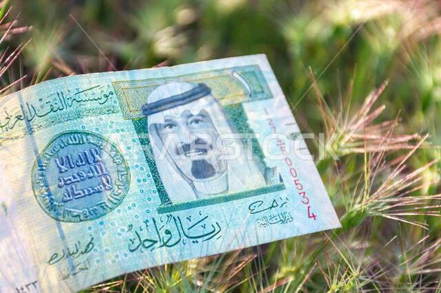 صورة لورقة نقدية من فئة واحد ريال سعودي من الإصدار الخامس عليها صورة خادم الحرمين الشريفين الملك عبدالله بن عبد العزيز آل سعود، التمويل والاستثمار، الطبيعة، العملة الرسمية للمملكة العربية السعودية.