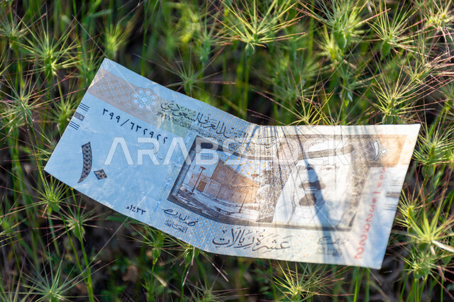 صورة لورقة نقدية من فئة 10 ريال سعودي من الإصدار الخامس عليها صورة خادم الحرمين الشريفين الملك عبد الله بن عبد العزيز آل سعود، التمويل والاستثمار، الطبيعة، مؤسسة النقد العربي السعودي، العملة الرسمية للمملكة العربية السعودية