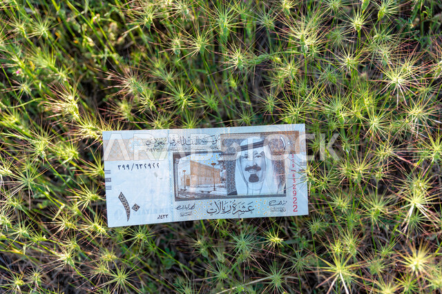 صورة لورقة نقدية من فئة 10 ريال سعودي من الإصدار الخامس عليها صورة خادم الحرمين الشريفين الملك عبد الله بن عبد العزيز آل سعود، التمويل والاستثمار، الطبيعة، مؤسسة النقد العربي السعودي، العملة الرسمية للمملكة العربية السعودية