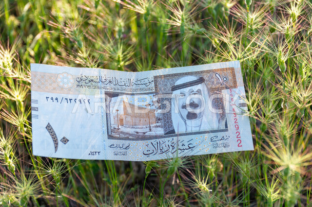 صورة لورقة نقدية من فئة 10 ريال سعودي من الإصدار الخامس عليها صورة خادم الحرمين الشريفين الملك عبد الله بن عبد العزيز آل سعود، التمويل والاستثمار، الطبيعة، مؤسسة النقد العربي السعودي، العملة الرسمية للمملكة العربية السعودية