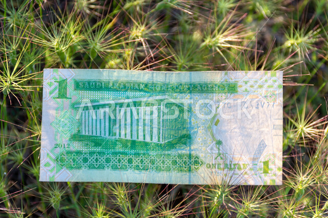 صورة من الخلف لورقة نقدية من فئة واحد ريال سعودي من الإصدار الخامس، التمويل والاستثمار، الطبيعة، العملة الرسمية للمملكة العربية السعودية.