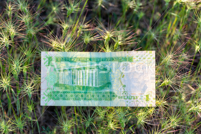 صورة من الخلف لورقة نقدية من فئة واحد ريال سعودي من الإصدار الخامس، التمويل والاستثمار، الطبيعة، العملة الرسمية للمملكة العربية السعودية.