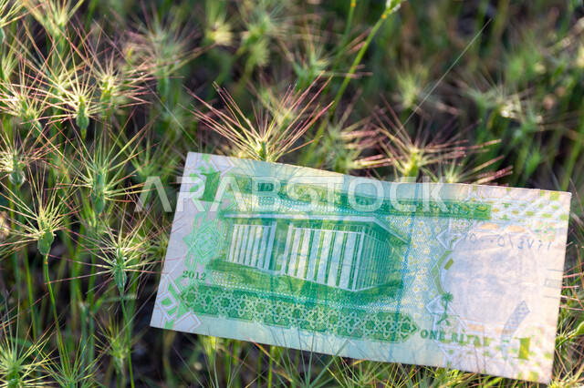 صورة من الخلف لورقة نقدية من فئة واحد ريال سعودي من الإصدار الخامس، التمويل والاستثمار، الطبيعة، العملة الرسمية للمملكة العربية السعودية.