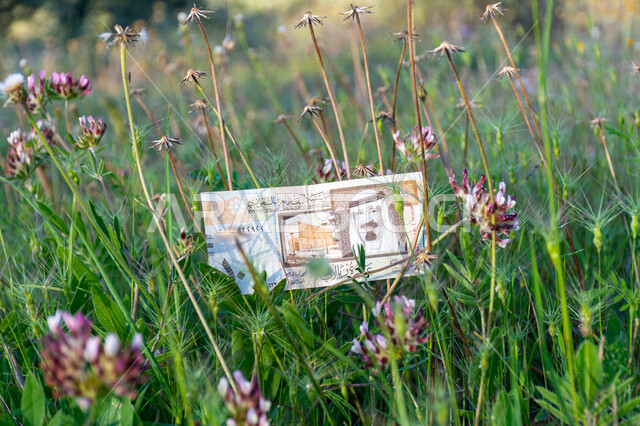 صورة لورقة نقدية من فئة 10 ريال سعودي من الإصدار الخامس عليها صورة خادم الحرمين الشريفين الملك عبد الله بن عبد العزيز آل سعود، التمويل والاستثمار، الطبيعة، مؤسسة النقد العربي السعودي، العملة الرسمية للمملكة العربية السعودية