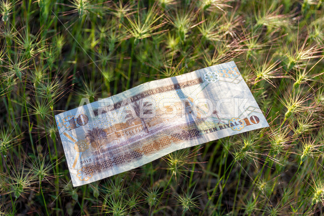 صورة من الخلف لورقة نقدية من فئة 10 ريال سعودي من الإصدار الخامس، التمويل والاستثمار، الطبيعة، مؤسسة النقد العربي السعودي، العملة الرسمية للمملكة العربية السعودية.