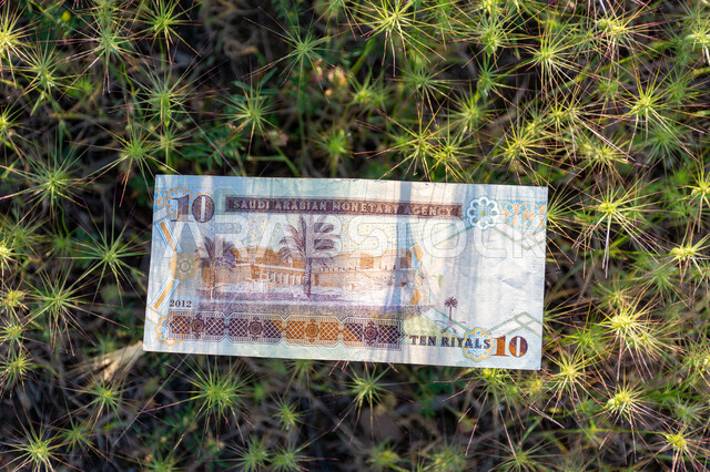 صورة من الخلف لورقة نقدية من فئة 10 ريال سعودي من الإصدار الخامس، التمويل والاستثمار، الطبيعة، مؤسسة النقد العربي السعودي، العملة الرسمية للمملكة العربية السعودية.