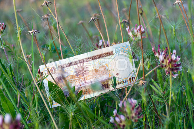 A picture from the back of a 10 Saudi riyal banknote of the fifth issue, finance and investment, nature, the Saudi Arabian Monetary Agency, the official currency of the Kingdom of Saudi Arabia.