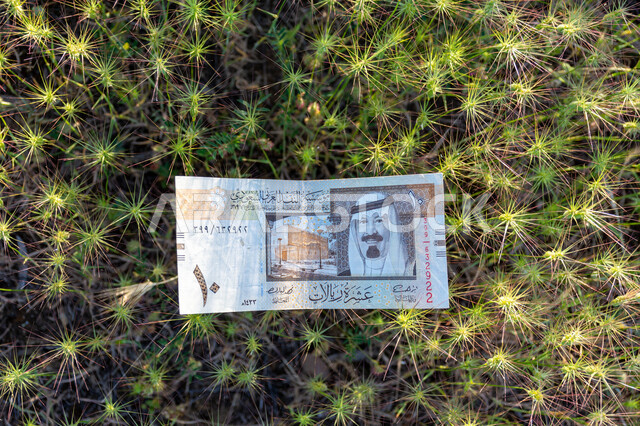 صورة لورقة نقدية من فئة 10 ريال سعودي من الإصدار الخامس عليها صورة خادم الحرمين الشريفين الملك عبد الله بن عبد العزيز آل سعود، التمويل والاستثمار، الطبيعة، مؤسسة النقد العربي السعودي، العملة الرسمية للمملكة العربية السعودية