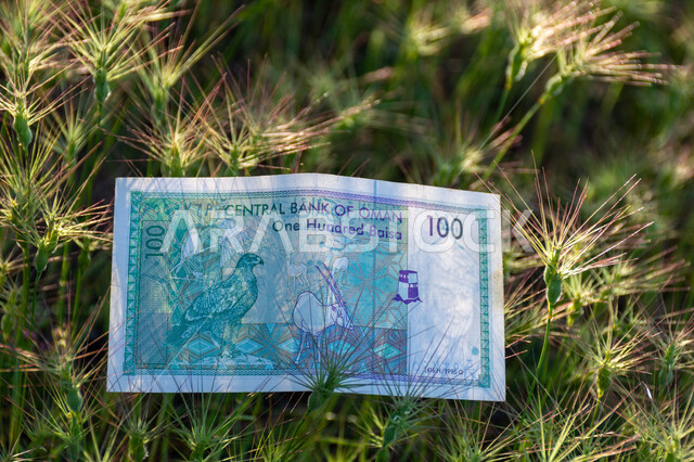 صورة لظهر ورقة نقدية من فئة 100 بيسة ، التمويل والاستثمار، الطبيعة، مؤسسة البنك المركزي العماني، العملة الرسمية لسلطنة عمان.
