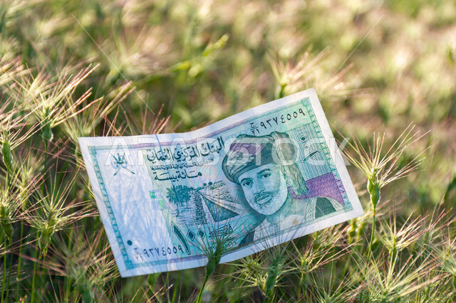 صورة لورقة نقدية من فئة 100 بيسة عليها صورة السلطان قابوس بن سعيد بن تيمور آل سعيد وسط الحقل، التمويل والاستثمار، الطبيعة، مؤسسة البنك المركزي العماني، العملة الرسمية لسلطنة عمان.