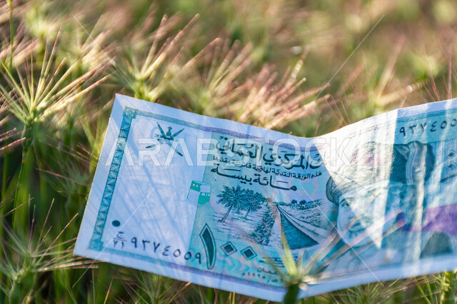 صورة لورقة نقدية من فئة 100 بيسة عليها صورة السلطان قابوس بن سعيد بن تيمور آل سعيد وسط الحقل، التمويل والاستثمار، الطبيعة، مؤسسة البنك المركزي العماني، العملة الرسمية لسلطنة عمان.