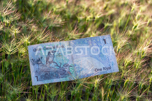 صورة من خلف لورقة نقدية من فئة 1 ريال قطري ، التمويل والاستثمار، الطبيعة، مصرف قطر المركزي، العملة الرسمية لدولة قطر.
