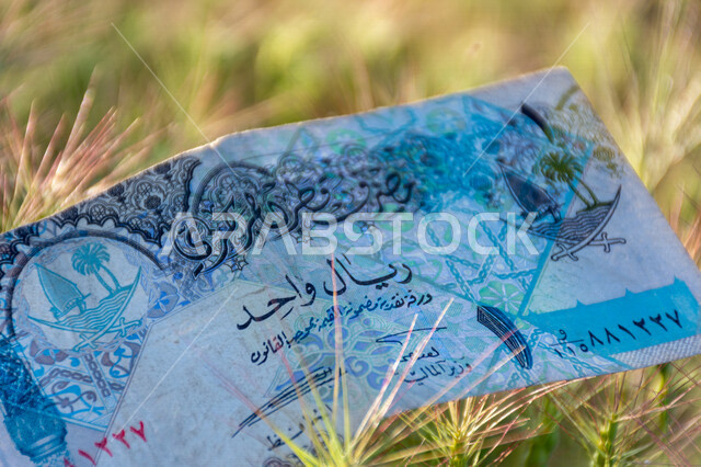 صورة لورقة نقدية من فئة 1 ريال قطري، التمويل والاستثمار، الطبيعة، مصرف قطر المركزي، العملة الرسمية لدولة قطر.