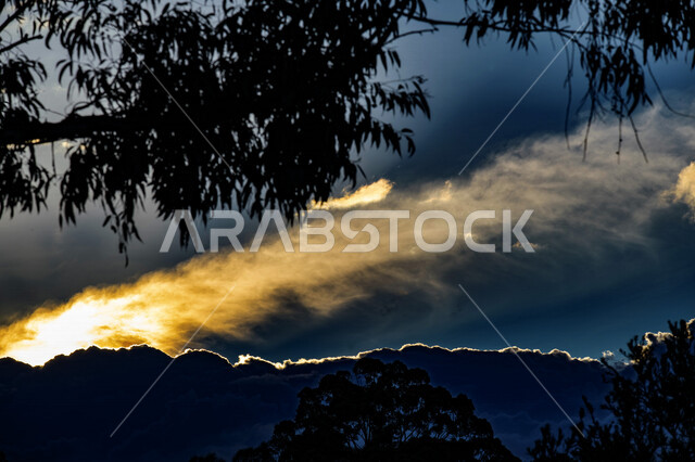 A creative picture of clouds in the sky of Saudi Arabia, sunbeams from behind the clouds in the blue sky, landscapes, silhouettes of trees and plants, the beauty and splendor of the cloudy sky, nature in Saudi Arabia