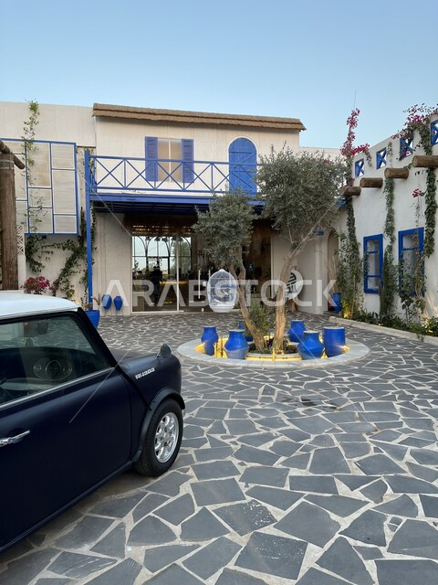 صورة ابداعية لحديقة منزل بتصميم حديث، تصاميم وديكورات، حديقة منزل، ديكورات ابداعية