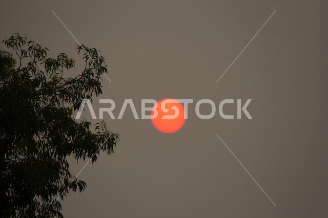 صورة ابداعية للشمس من خلف الاشجار وقت الغروب، الطبيعية الخلابة للسماء والاشجار، مناظر طبيعية خلابة في المملكة العربية السعودية