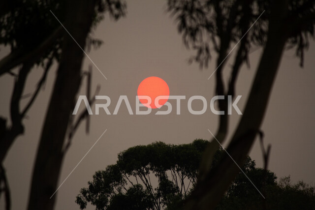 صورة ابداعية للشمس من خلف الاشجار وقت الغروب، الطبيعية الخلابة للسماء والاشجار، مناظر طبيعية خلابة في المملكة العربية السعودية