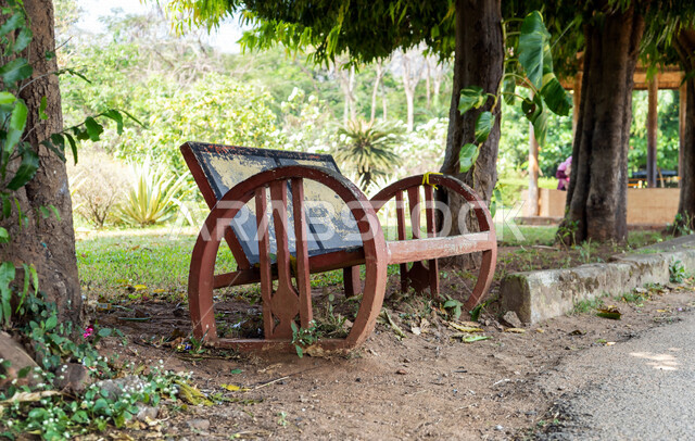 Creative image of a wooden bench in a garden in Saudi Arabia, trees and plants in Saudi gardens, nature in Saudi Arabia, green plants, tourism in Saudi Arabia