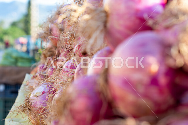 صورة مقربة لحزم البصل، مجموعة من حبات البصل، الخضروات الطازجة، سوق الخضروات، الاسواق الشعبيه لبيع الخضروات