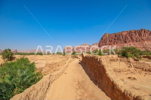 مسار التراث في واحة العلا يمر عبر بساتين النخيل الوارفة، والجدران الطينية التقليدية، وجبال الحجر الرملي القديمة تحت سماء زرقاء صافية، ممزوجًا