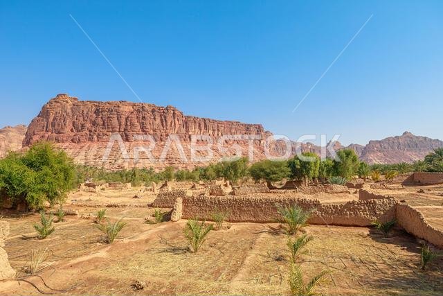 سائح يسير في المزارع القديمة على طول المسار التراثي، عابراً أطلال المدينة القديمة والواحة عند سفح جبال الحجر الرملي الأحمر في العلا