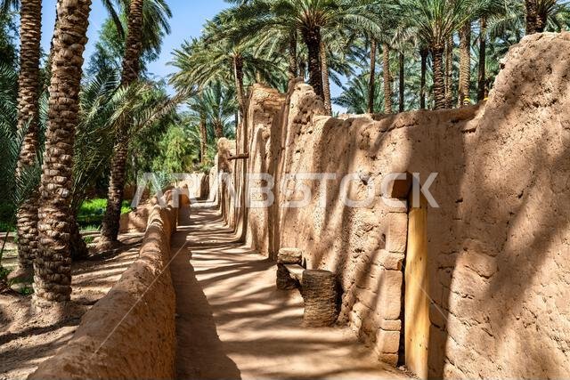 يمتد ممر ضيق بين جدران تاريخية مبنية من الطوب اللبن وأشجار نخيل التمر الوارفة في واحة العلا بالمملكة العربية السعودية.