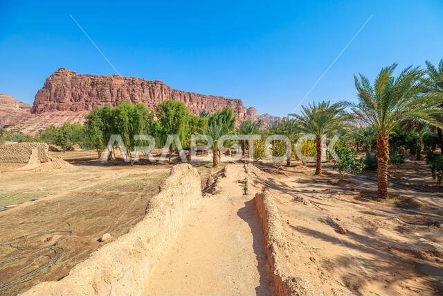 AlUla oasis heritage trail winding through lush palm groves, traditional mud walls and ancient sandstone mountains beneath a clear blue sky, blending